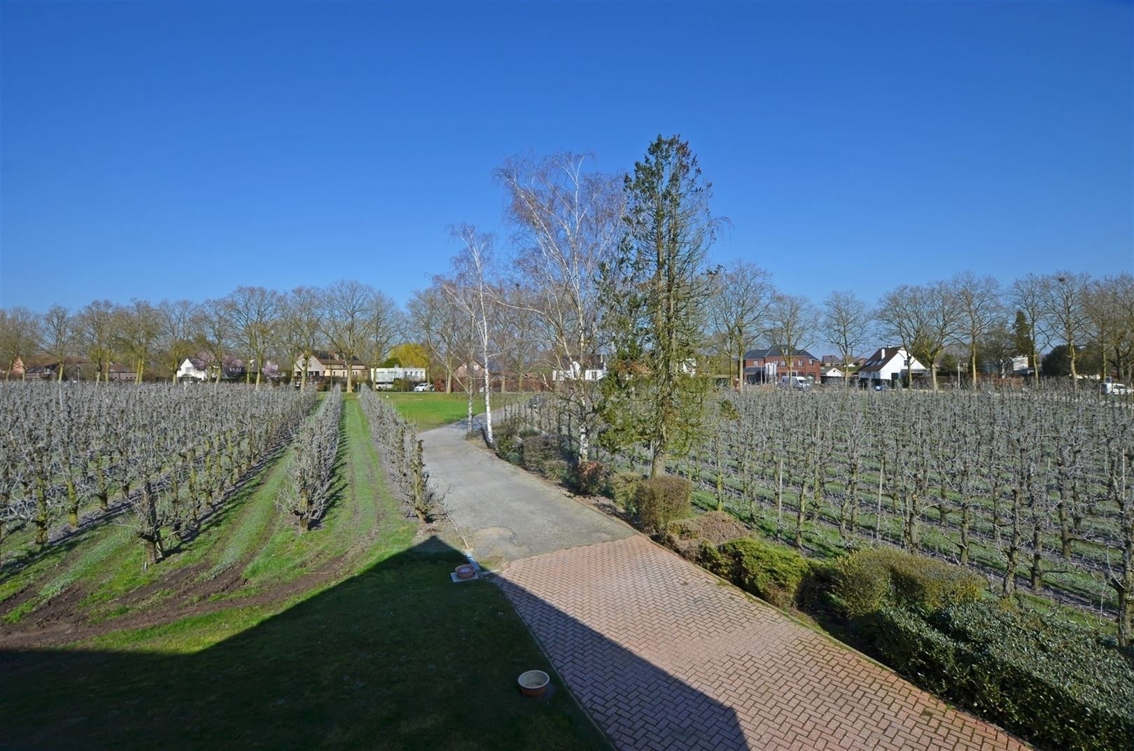 House for sale in Hasselt with 4 bedrooms - photo 5