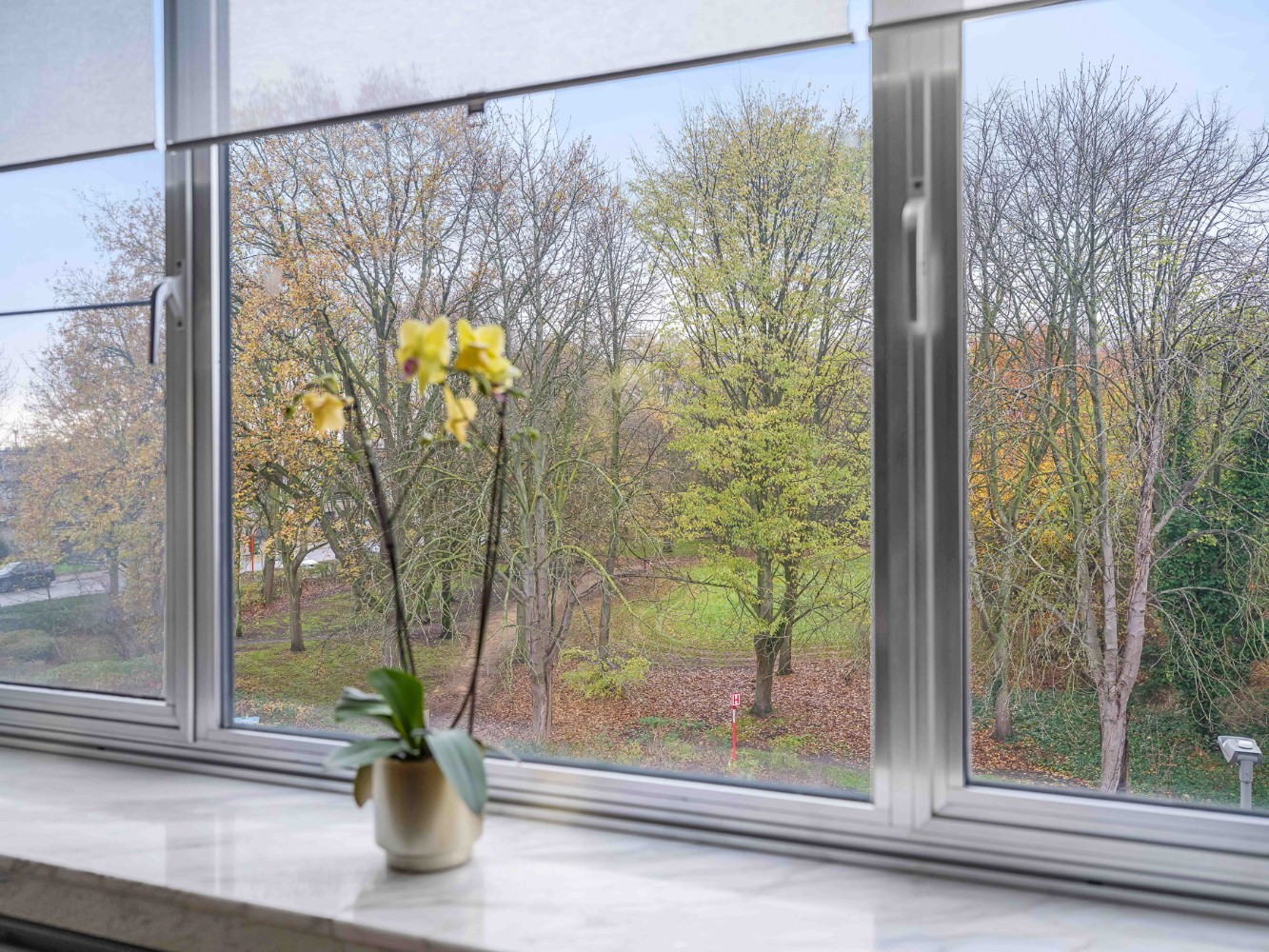 Instapklaar app. op 2e verd. met 2 slpk., terras en garagebox - foto 4