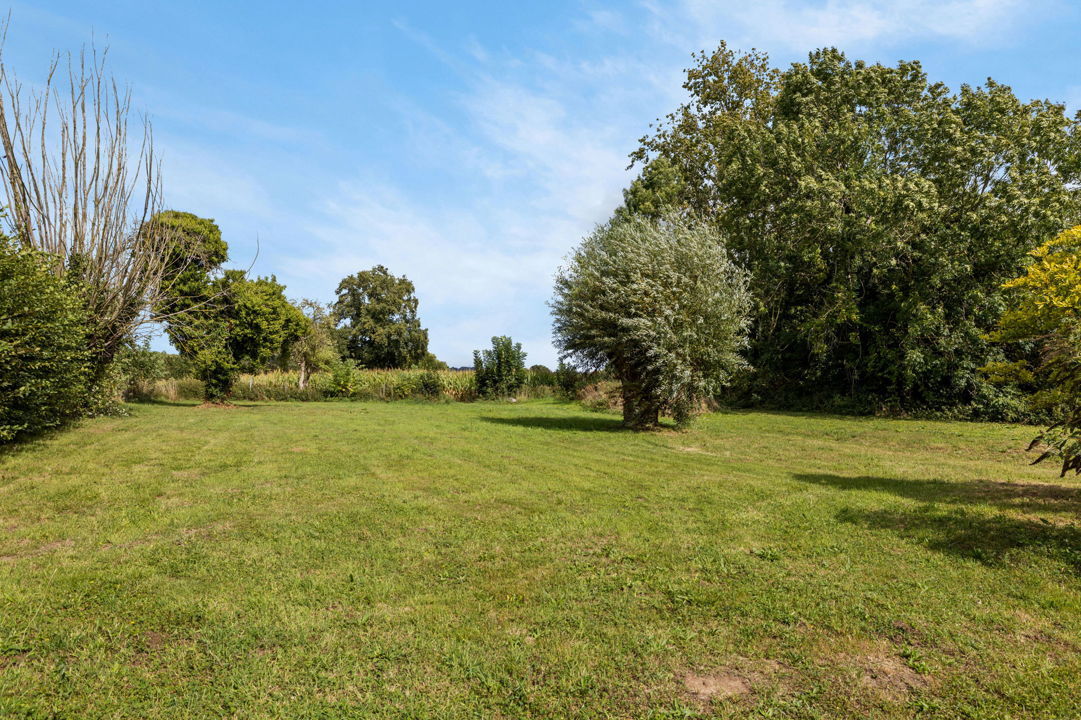 Gezellige woning met natuurlijke tuin/bosje op +/- 18a50 - foto 3
