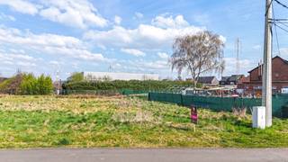 Land for sale in Beringen