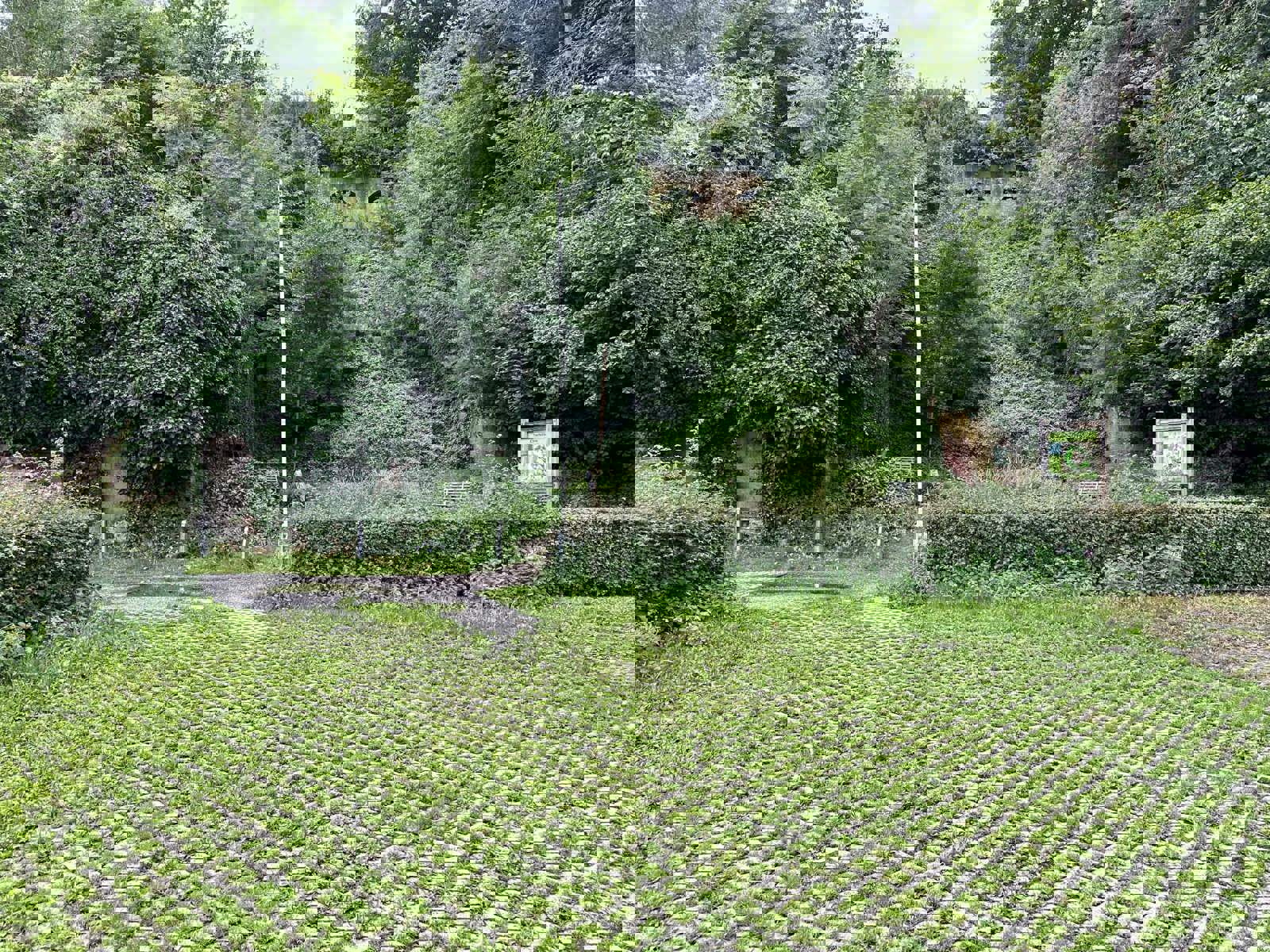 Garage à vendre à Diest - photo 3