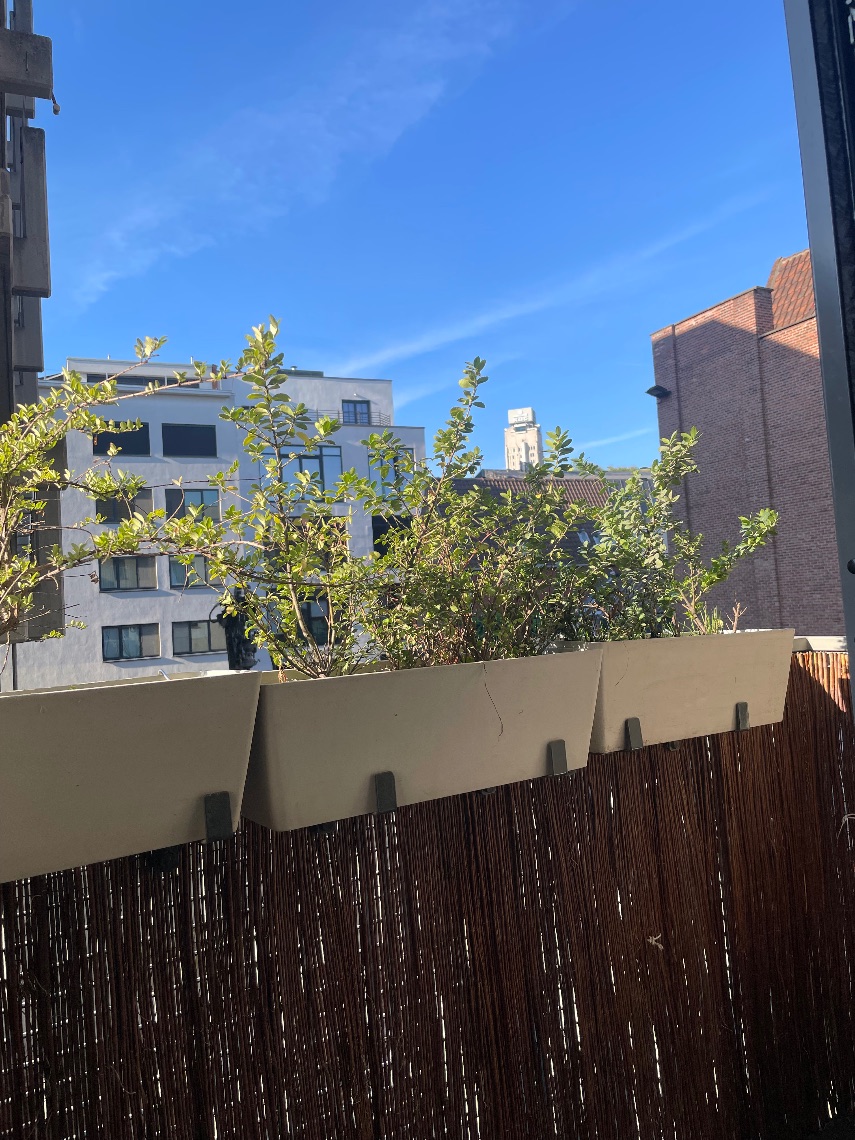 Appartement te koop in Antwerpen met 1 slaapkamer - foto 4
