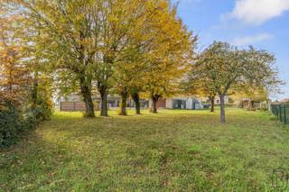 Commercieel gebouw (showroom), te renoveren woning, en grote parking, en dit op een commerciële locatie.Showroom van 750m2, met grote parking...