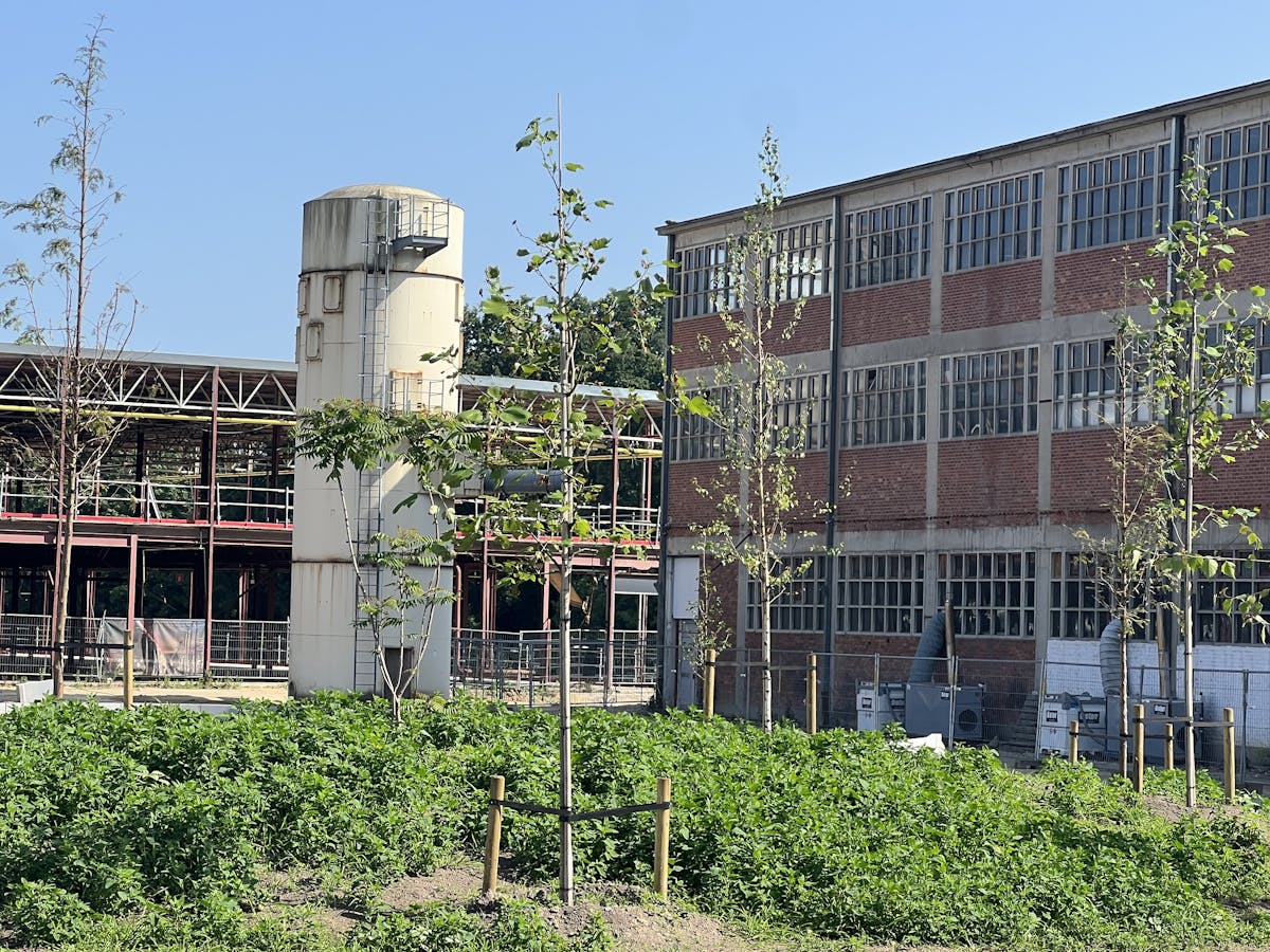 RE|CORE, The Sheds, SME units, 263m², parking, prime location - photo 4