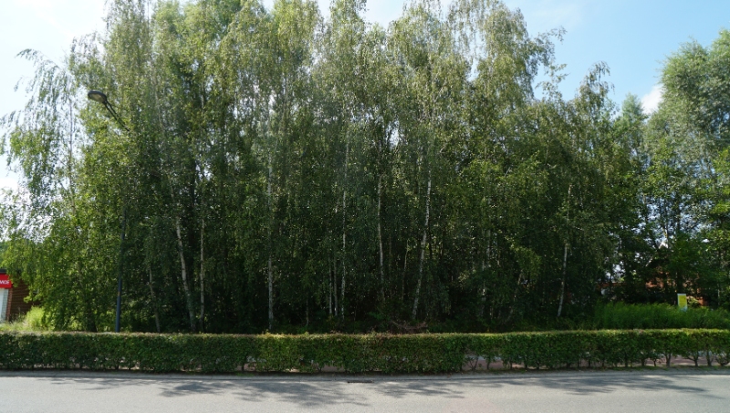 Bouwgrond 8 are 50 ca voor open bebouwing vlakbij centrum en met mooi achterzicht op groene omgeving - photo 5