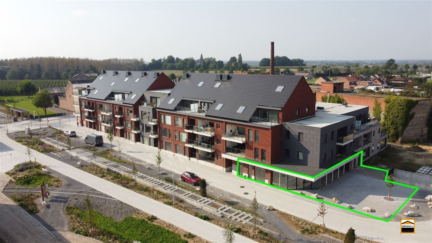 Commercial for sale in Borgloon - photo 3