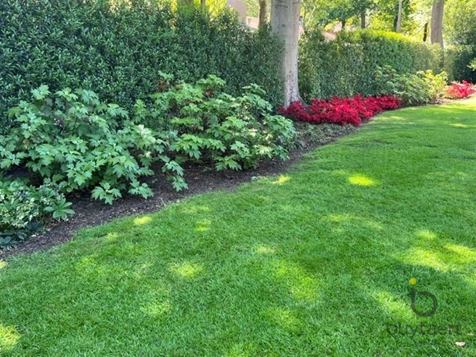 Villa met praktijk of  kangoeroewoning en Zuid - West tuin. - foto 4