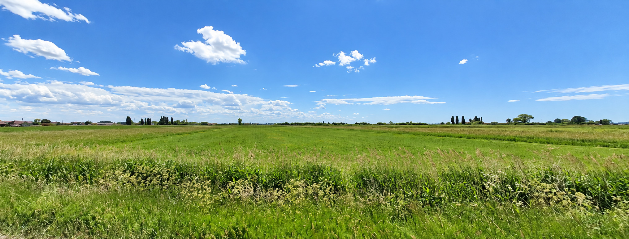 Terrain à vendre à Furnes