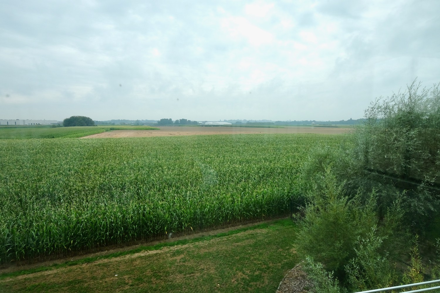 Commercial à louer à Saint-Trond - photo 4