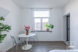 Deze te renoveren studio is gelegen aan de binnenring van Gent, waardoor u een vlotte verbinding heeft naar Gent Centrum, de R4 en N9. Daarnaast zijn verschillende winkels, horeca, scholen en het zwembad Rooigem in de buurt.<br /><br />De studio maakt deel uit van een kleinschalig gebouw en is gelegen op het eerste verdiep. U komt de studio binnen via de keuken die toegang biedt naar de badkamer en de leef- en slaapkamer. <br /><br />De studio is verhuurd tot december 2026.<br /><br />Wenst u graag een afspraak? Stuur gerust een mail naar olivier@convas.be of vul het contactformulier in.