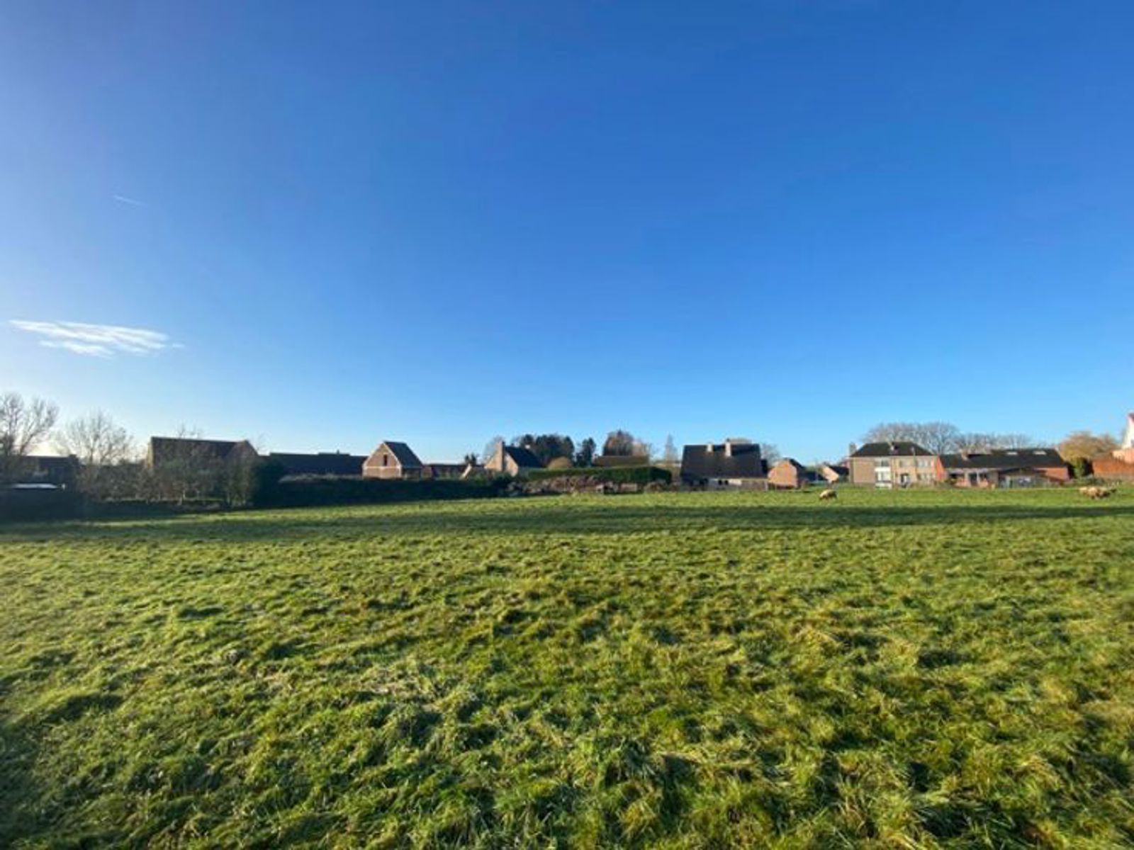 Open bebouwing in Grimbergen – Lot 4 - foto 5