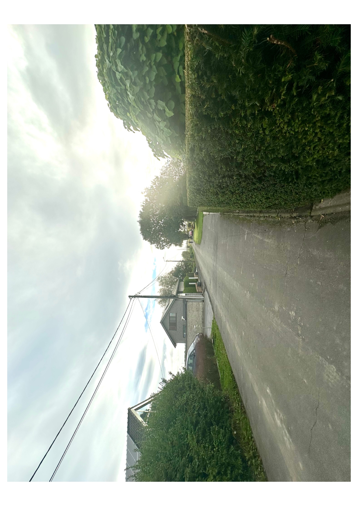 TE KOOP – Bouw- of projectgrond in het hart van Pervijze - foto 3