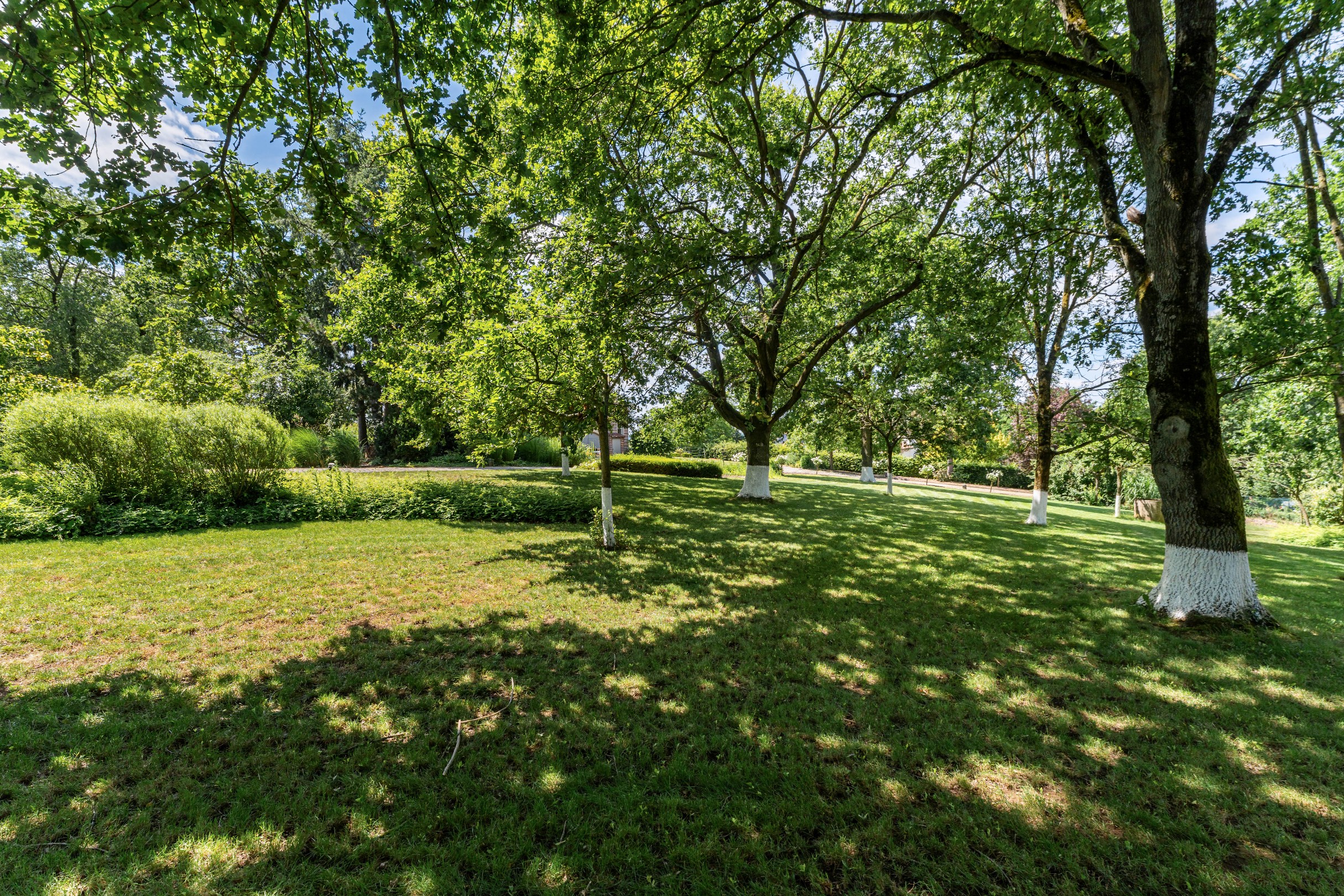 Exclusief landelijk wonen op toplocatie in Tielt-Winge. - foto 4