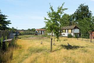 Op een toplocatie in het hart van Sint-Eloois-Winkel ligt dit rechthoekige perceel bouwgrond van circa 653m2.Dit perceel biedt dankzij zijn gunstige...