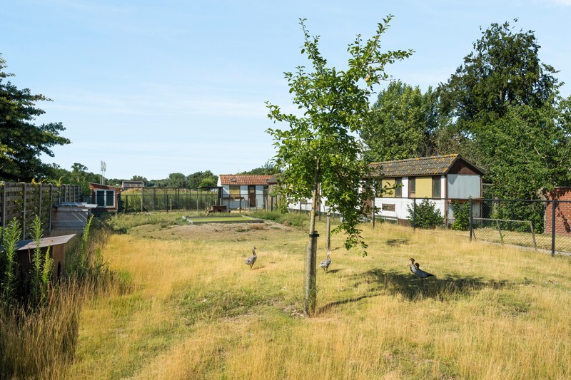 Bouwgrond van 653m2 voor halfopen bebouwing te Sint-Eloois-Winkel, een unieke kans om uw droomwoning te realiseren - foto 2