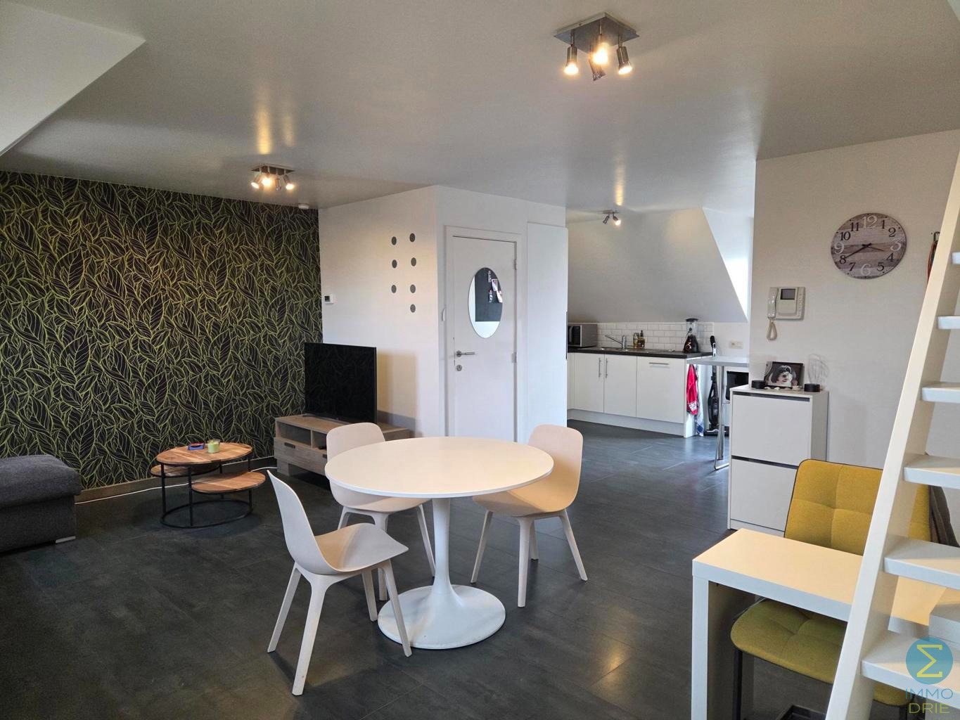 Dakappartement met terras en autostaanplaats in centrum. - foto 5