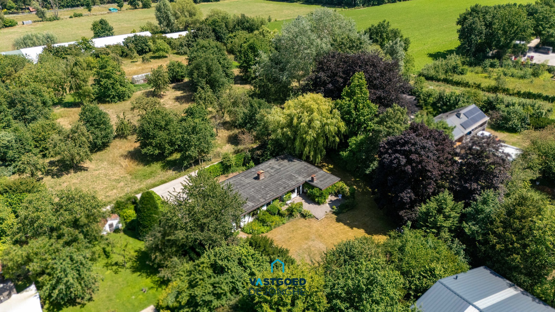 Zeer ruime open bebouwing omgeven door groen nabij het centrum van Deurle - foto 1