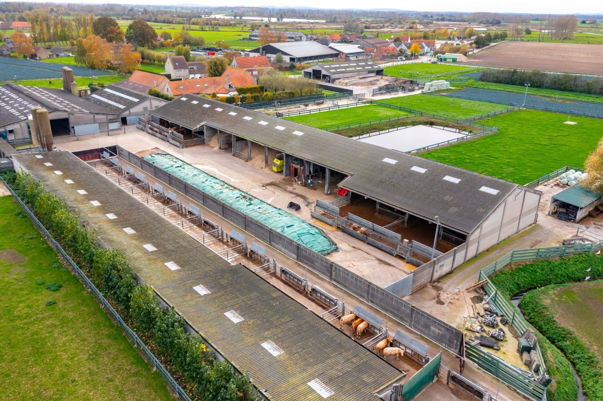 Groot vleesveebedrijf te koop te Diksmuide - photo 3