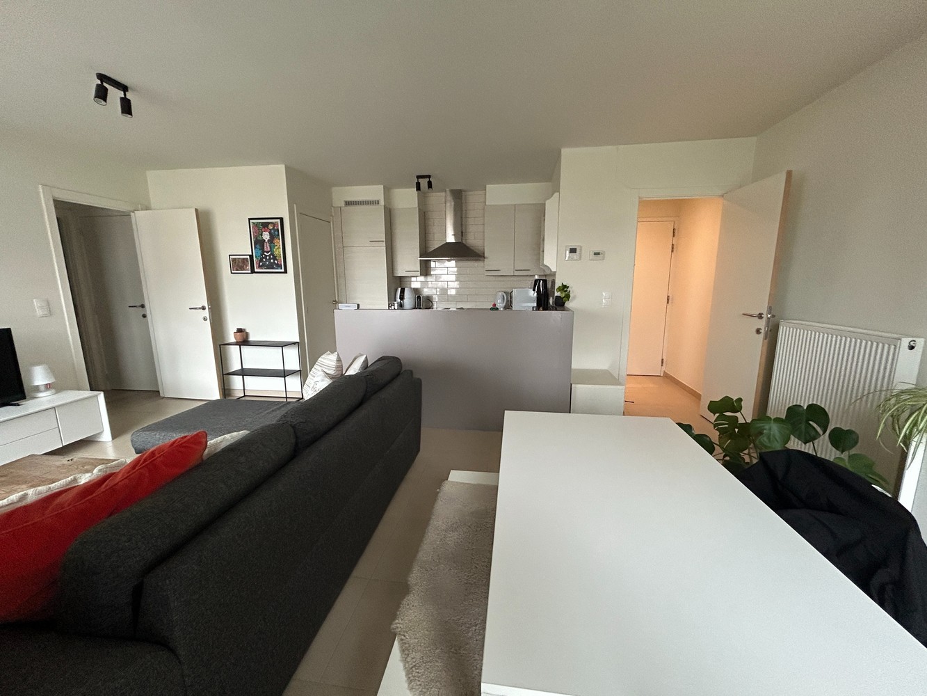 Appartement te huur in Antwerpen met 1 slaapkamer - foto 4