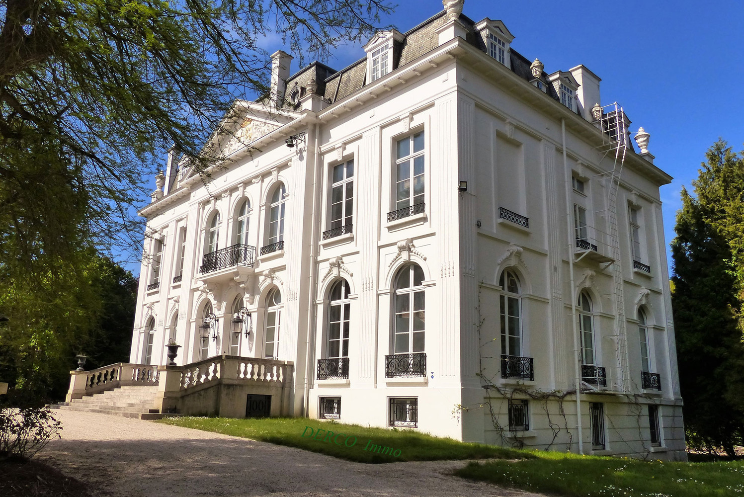 splendid CASTLE located in former ancestral domain of the Belgian Royal Family - photo 5