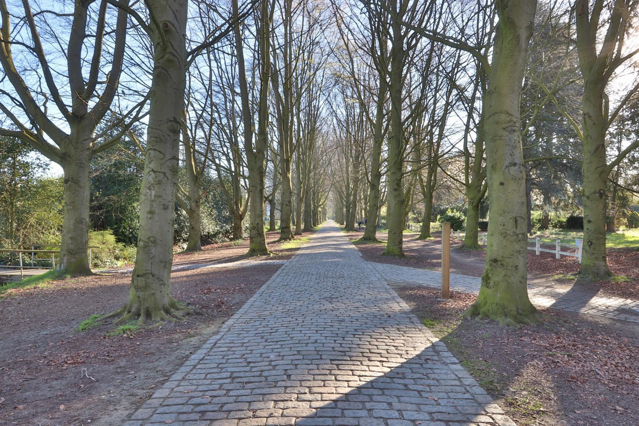 Centraal en rustig gelegen 2-slpk-app. nabij Cortewalle - foto 2