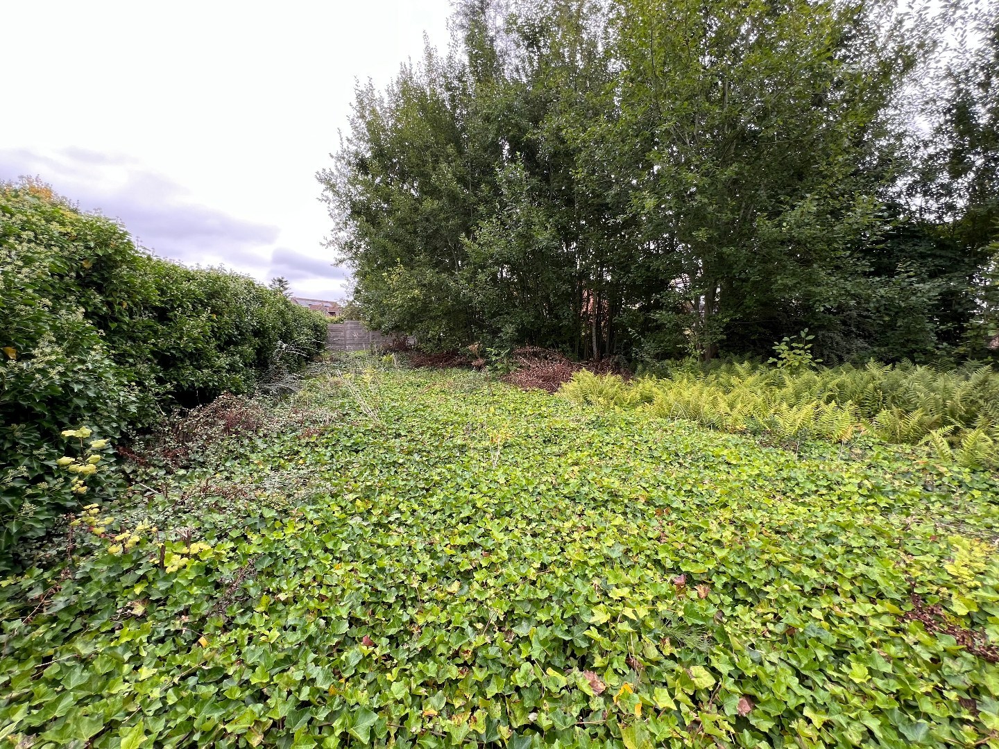 Residentiële villagrond voor OB - 716m². - foto 4
