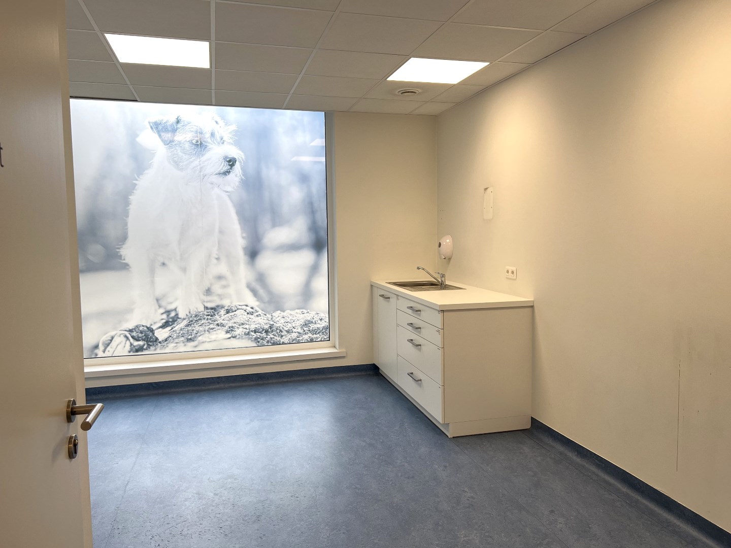 Commercial for rent in Halen - photo 5