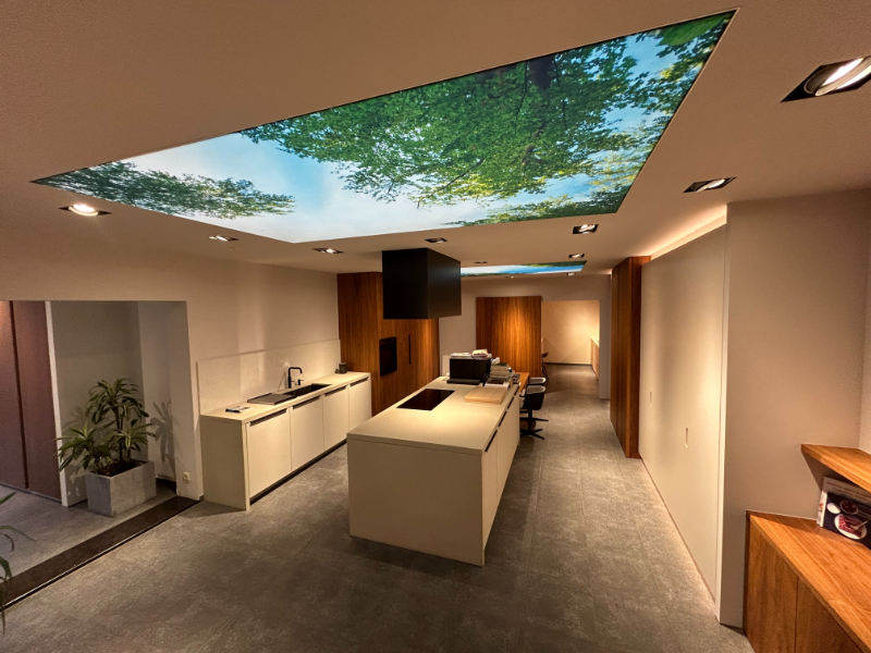 Ruime handelsruimte/toonzaal (338 m²) met 6 privéparkings – toplocatie! - foto 4