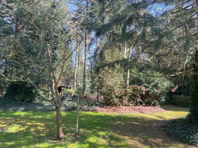Land for sale in Brasschaat - photo 3