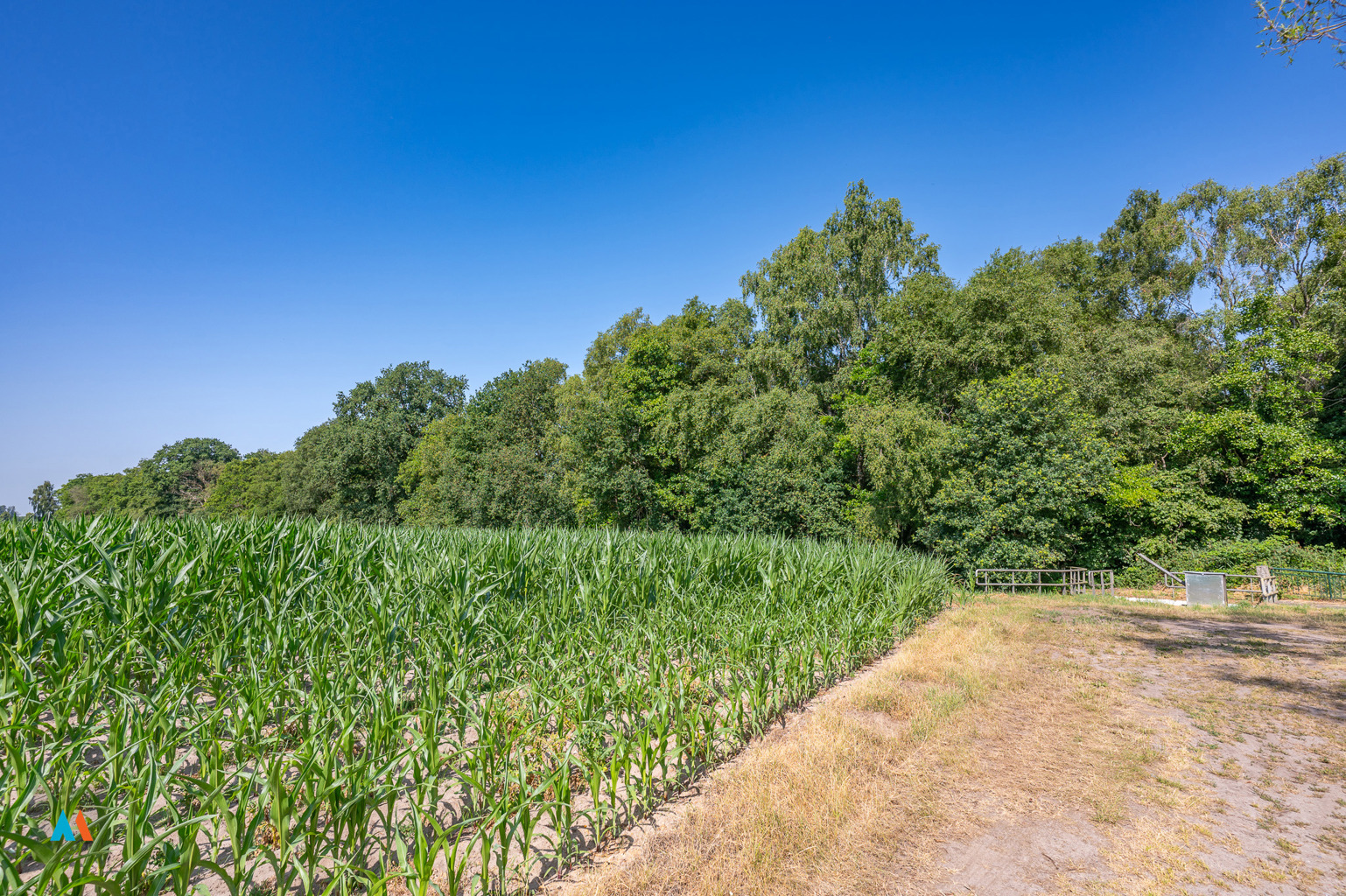 Terrain à vendre à Hoogstraten - photo 4