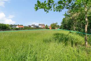 <p><span>Bent u op zoek naar een rustig gelegen bouwgrond waar privacy, natuur en een uitstekende bereikbaarheid samenkomen? Dan is deze uitzonderlijke bouwgrond in Averbode precies wat u zoekt.</span></p><p><span> </span></p><p><span>Deze prachtig gelegen bouwgrond van 15A 51CA bevindt zich achter de woning aan de Westelsebaan 26 en is bereikbaar via een exclusieve privé-oprit van ongeveer 48 meter. Dankzij deze unieke toegang geniet u van een bijzonder rustige en groene woonomgeving, volledig afgeschermd van de straat. De ruime perceeloppervlakte biedt bovendien tal van mogelijkheden om een stijlvolle open bebouwing te realiseren.</span></p><p><span> </span></p><p><span>De ligging vormt een absolute meerwaarde. U woont hier op korte afstand van het centrum van Averbode met winkels, scholen en andere dagelijkse voorzieningen, terwijl u tegelijkertijd kunt genieten van de rust van de natuur. Het prachtige natuurgebied Averbode Bos en Heide ligt op wandelafstand en nodigt uit tot heerlijke wandel- en fietstochten.</span></p><p><span>Ook qua bereikbaarheid scoort deze locatie uitstekend. Het station van Zichem bevindt zich op slechts 1,5km, waardoor u vlot verbinding hebt met de omliggende gemeenten/steden.</span></p><p><span> </span></p><p><span>Wenst u de geldende bouwvoorschriften of het verkavelingsplan te ontvangen? Stuur dan gerust een e-mail naar: kenneth.pollet@vastgoedhuys.be.</span></p><p><span> </span></p><p><span>Grijp deze unieke kans om uw droomwoning te realiseren op een toplocatie waar rust, ruimte en bereikbaarheid perfect in balans zijn.</span></p><p><span> </span></p><p><span>Interesse? Neem vandaag nog contact met ons op voor meer informatie!</span></p>
