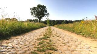 Terrain à vendre à Aarschot