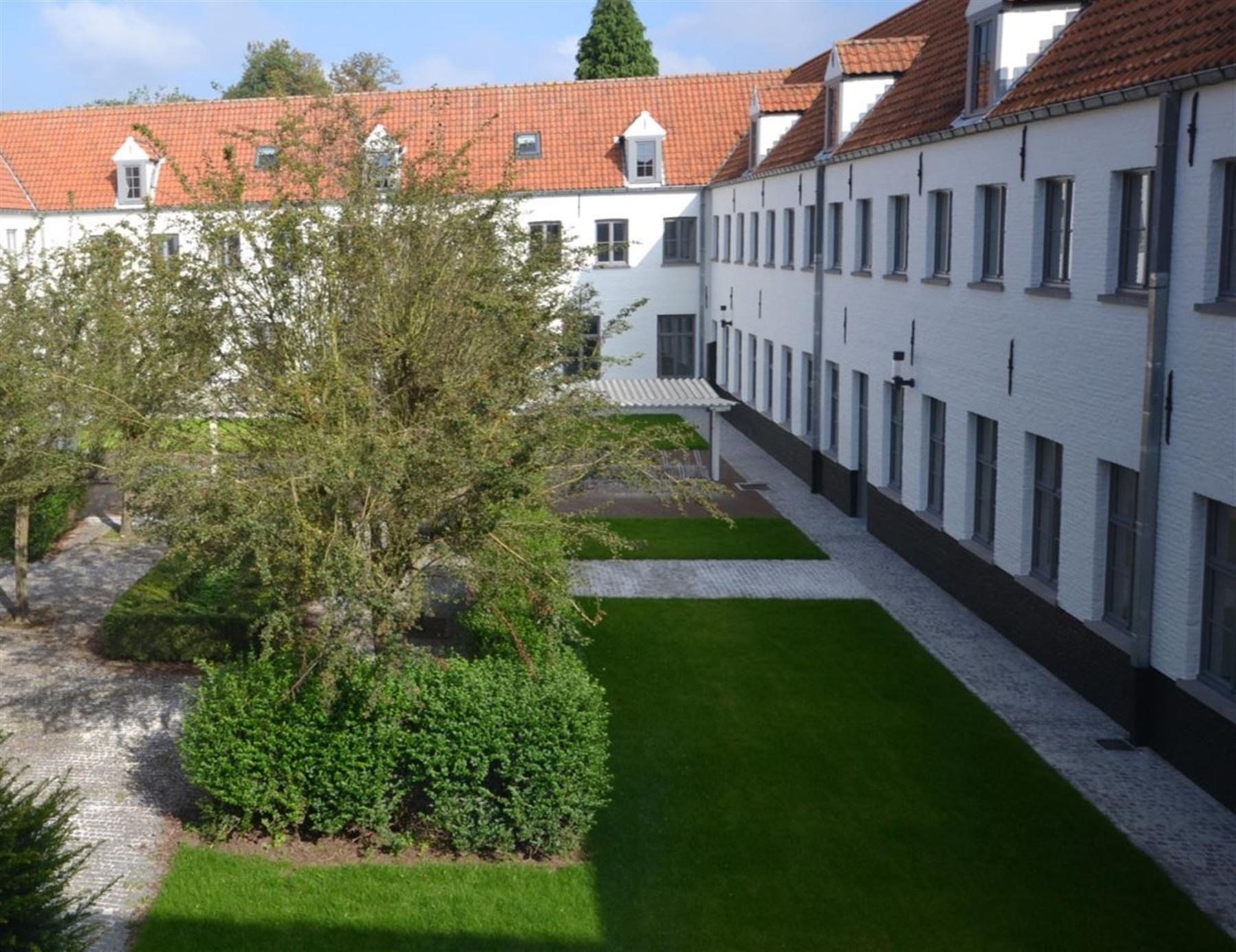 KOT - photo 1