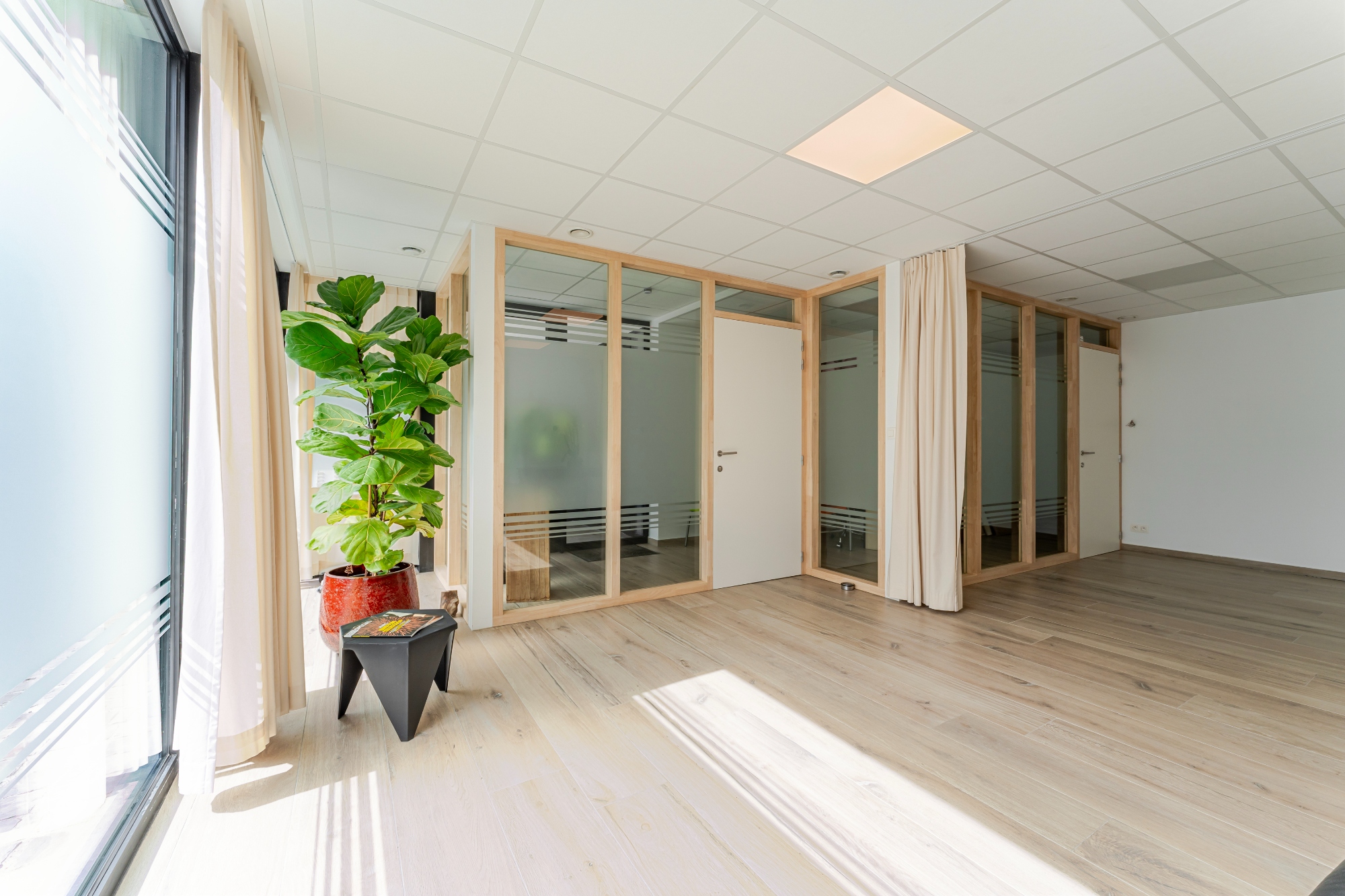 Groot (140m²) gelijkvloers appartement met praktijkruimte, 2 (mog. 3) slaapkamers en ruim terras/koer - foto 3