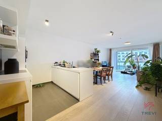 ETTERBEEK, Nabij het Jubelpark. Prachtig appartement van ± 91 m², met 2 slaapkamers, terras en parkeerplaats.Op de 2e verdieping: * Grote inkomhal *...