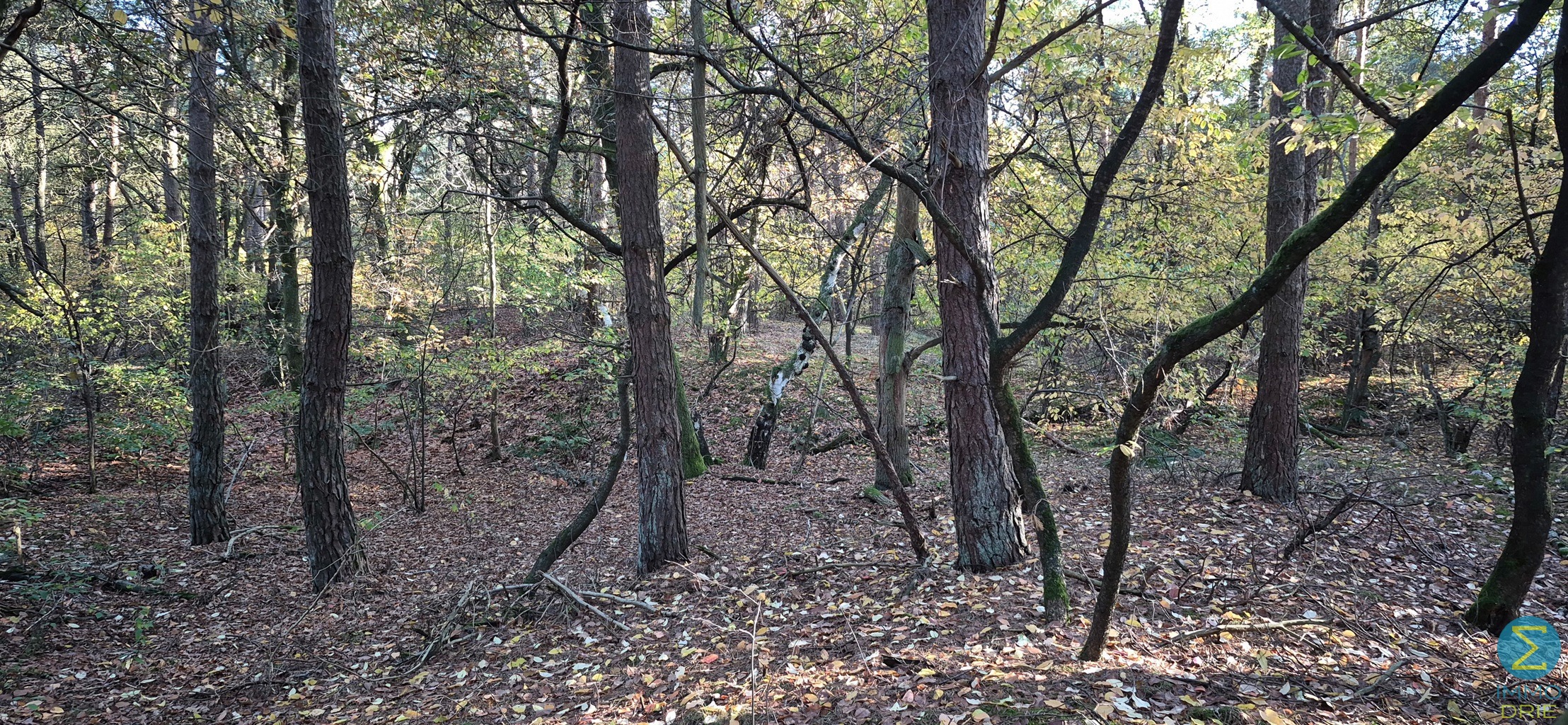 Perceel grond gelegen in recreatiegebied - foto 4