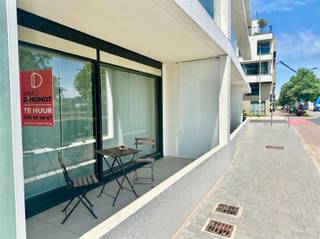 <p>Appartement nouvellement construit à louer avec un bel espace de vie ouvert et des vues sur l'Escaut. <br />La cuisine dispose du confort nécessaire et de beaucoup de lumière. <br />L'appartement comprend une chambre à coucher, une salle de bain avec douche, des toilettes séparées pour les invités et un débarras.</p><br /><p>Une place de parking est prévue dans le parking souterrain.</p><br /><p>Intéressé ? <br />Demandez votre visite via notre site web www.immodhondt.be </p>