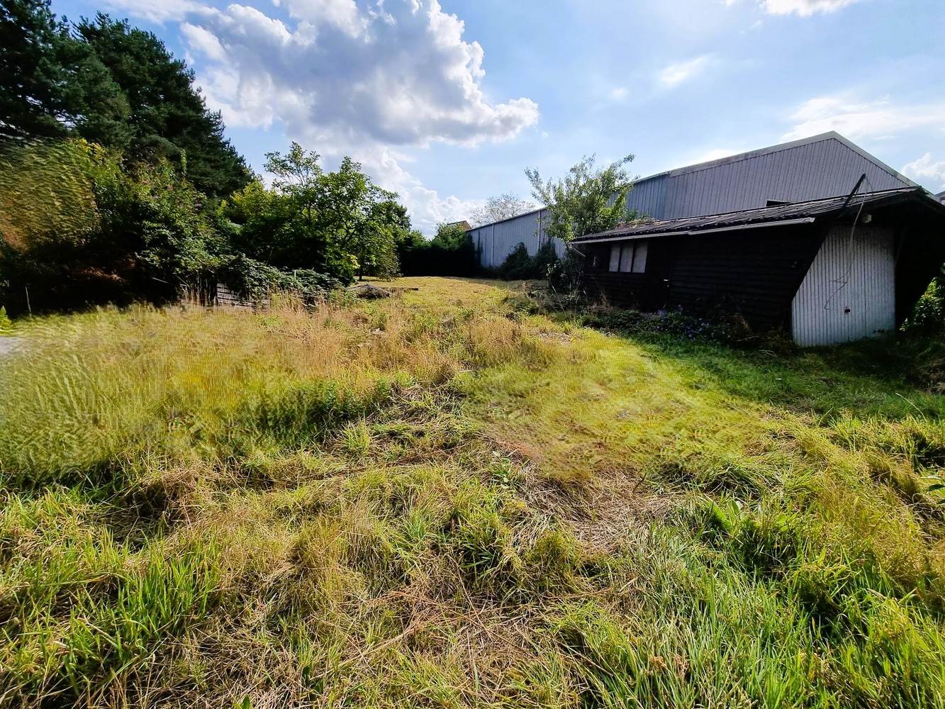 Zeer ruime woning op 10a78ca met 309m² bewoonbare opp, 5 slks, 2 badkamers. - foto 2