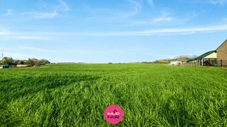 Ben je op zoek naar een ruim bouwperceel waar je jouw eigen woning kan realiseren? Dit perceel aan de Riemsterweg in Martenslinde combineert een royale oppervlakte met een open zicht over de velden aan de achterzijde.<br /><br />Met een oppervlakte van maar liefst 1.211 m² biedt het perceel heel wat mogelijkheden voor een vrijstaande woning, een ruime tuin en een vrijstaand bijgebouw. De ligging aan de Riemsterweg zorgt voor een vlotte verbinding richting Bilzen, Genk, Riemst, Maastricht en de E313. Winkels, scholen en openbaar vervoer bevinden zich eveneens in de nabije omgeving.<br /><br />Het perceel is bestemd voor open bebouwing en biedt onder meer volgende bouwmogelijkheden:<br /><br />Gelijkvloerse bouwdiepte tot maximaal 17 m<br /><br />Bouwdiepte op de verdieping tot maximaal 12 m<br /><br />Maximaal 2 volwaardige bouwlagen<br /><br />Keuze tussen een hellend of plat dak<br /><br />Mogelijkheid tot het voorzien van een carport binnen de voorziene zone<br /><br />Afmetingen van het perceel:<br /><br />Straatzijde: ca. 15,8 m<br /><br />Achterzijde: ca. 15,8 m<br /><br />Linkerzijde: ca. 50 m<br /><br />Rechterzijde: ca. 50 m<br /><br />Daarnaast voorzien de verkavelingsvoorschriften de mogelijkheid om één vrijstaand bijgebouw per perceel op te richten, bijvoorbeeld in de vorm van een tuinberging, poolhouse of terrasoverkapping. De oppervlakte hiervan bedraagt maximaal 10% van de achtertuin, wat voor een open bebouwing neerkomt op ongeveer 34 m², afhankelijk van de uiteindelijke inrichting van het perceel.<br /><br />Een gedeelte van het perceel is aangeduid als waterbufferzone. Deze grond mag groen worden ingericht, maar niet worden bebouwd of gebruikt voor parkeren.<br /><br />De hoofdbestemming van het perceel is wonen. Als nevenactiviteit zijn onder meer vrije beroepen, kantoorruimte en diensten toegestaan, met uitzondering van horeca en handel.<br /><br />Een ruim bouwperceel met veel mogelijkheden én een groen uitzicht aan de achterzijde.<br /><br />Interesse? Neem contact op via 089 390 990 of info@immofair.be!