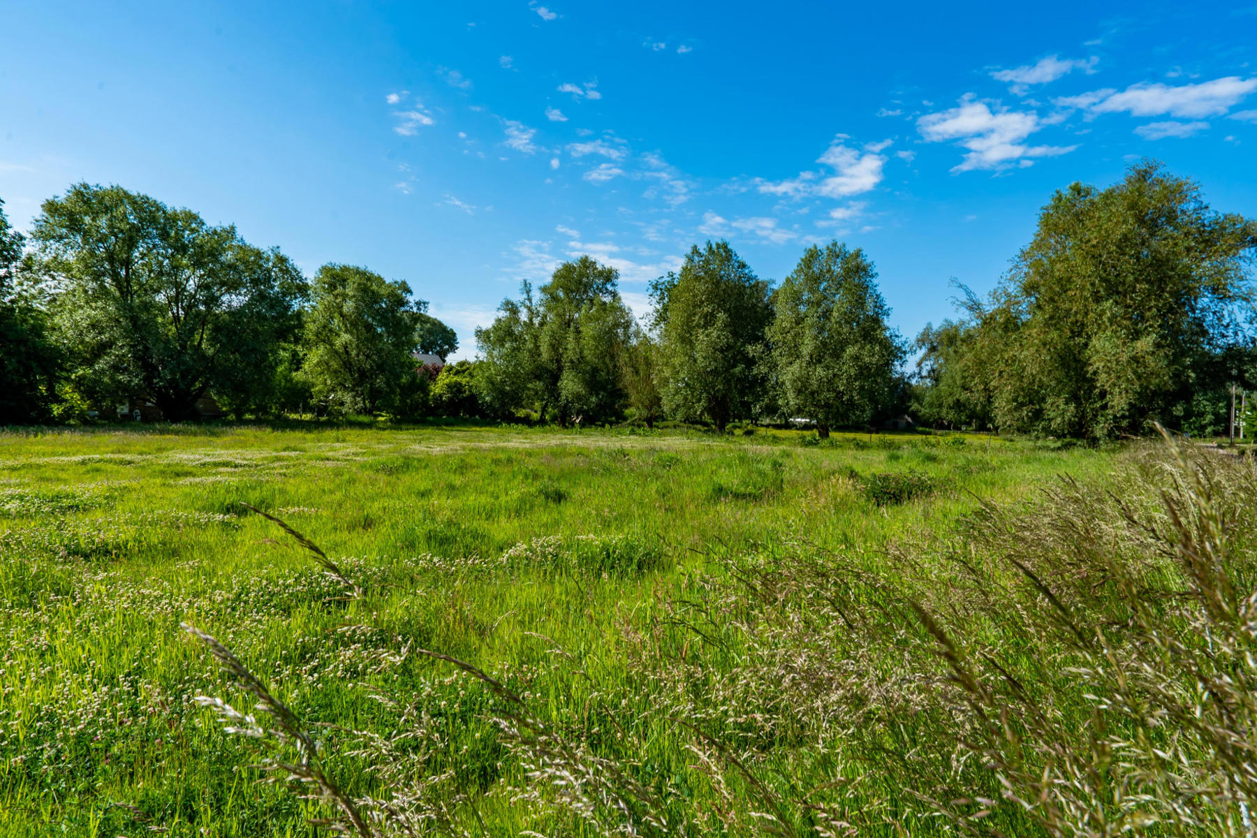 Land for sale in Villers-le-Bouillet - photo 3