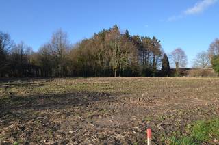 BINNENKORT te koop: Lokeren, nabij Staakteschool: landelijk gelegen bouwgrond met achterliggend bos - totale grondoppervlakte ca 2444 m2...