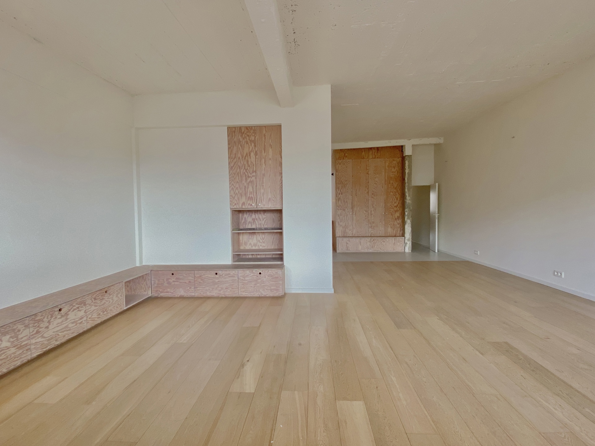exclusief appartement met stadszicht in hartje Antwerpen - foto 2