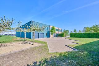 Commercial for sale in Beringen