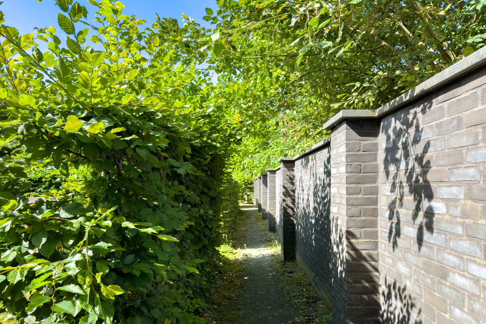 Tweeslaapkamer tuinappartement met ondergrondse staanplaats - foto 5