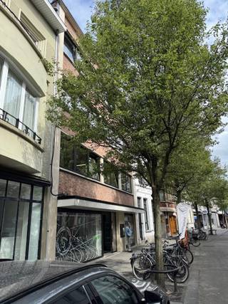 Dit ruim en stijlvol afgewerkt luxe appartement op de volledige tweede verdieping van maar liefst 206 m² bevindt zich in een van de meest...