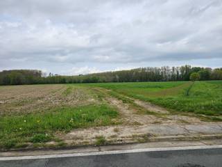 Perceel landbouwgrond (momenteel akkerland) gelegen op korte afstand van de Haachtstraat. Het perceel is te bereiken via een losweg en is omgeven door andere akkerlanden. Het perceel heeft een oppervlakte van ± 93a 74ca en is verpacht. Gvg, Lwag, Gmo, Vkr, Gvv. P-score: A.<br /><br />WETTELIJKE VERPLICHTE VERMELDINGEN:<br />Vergunningen: nee<br />Bestemming: landschappelijk waardevol agrarisch gebied<br />Geen gerechtelijke maatregelen opgelegd.<br />Voorkooprecht: ja (pachter)<br />Verkaveling: nee<br />P-score: A<br />Maatregelenregister: nee