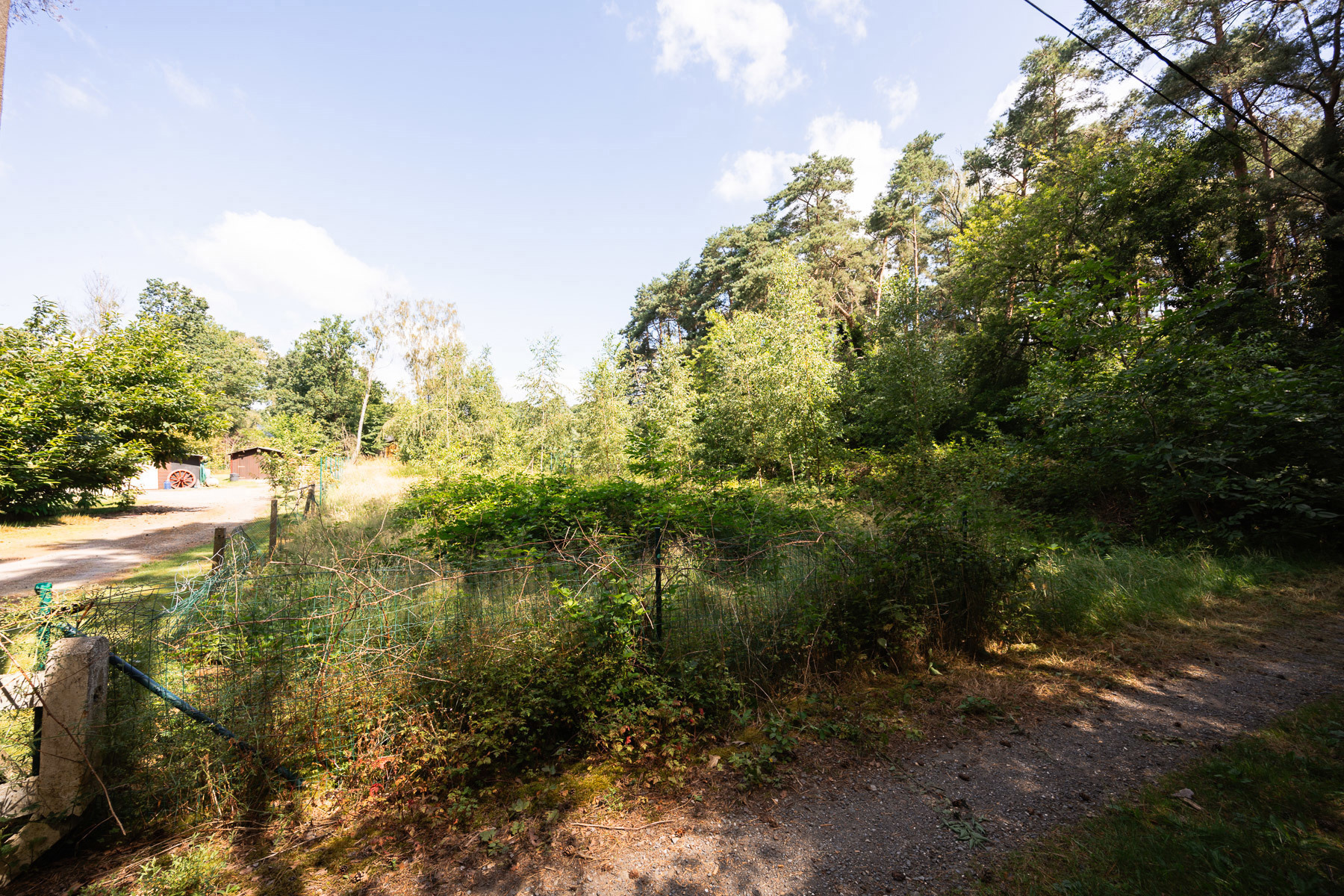 Recreatiezone in groene oase - foto 4