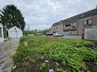 Terrain à vendre à Denderleeuw
