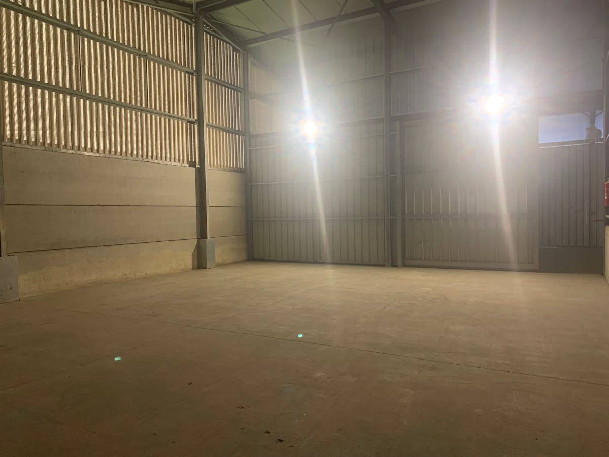 Magazijn te huur in Geluwe - foto 4