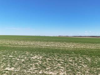<p><span>Uniek geheel van 73,11 ha landbouwgrond te Petit-Hallet (Orp-Jauche).</span></p><p><span>Bestaande uit verschillende aaneengesloten blokken.</span></p><p><span>Blok C heeft een oppervlakte van 11 ha 10a 56 ca.</span></p><p><span>De prijs voor deze grond bedraagt 80.000 EUR/ha.</span></p><p><span> </span></p><h3><span>Blok C – 11 ha 10 a 56 ca</span></h3><ul><li><span>Eigendom:</span><span> 9 ha 28 a</span></li><li><span>Pacht:</span><ul><li><span>77 a (Patricia)</span></li><li><span>20 a (Dupont)</span></li><li><span>23 a (Kerkfabriek)</span></li></ul></li><li><span>Volledig in exploitatie.</span></li></ul><p><span> </span></p><p><span> </span></p><p><span>De foto's zijn van de verschillende aaneengesloten stukken.</span></p><p><span> </span></p>